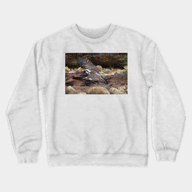 Bird's Eye Crewneck Sweatshirt by GP1746